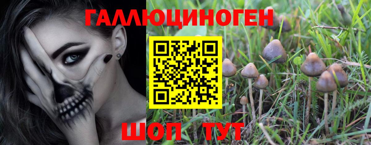 Псилоцибиновые грибы мицелий Минусинск